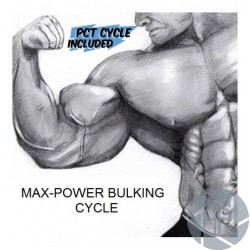 MAX MASS AND POWER CYCLE