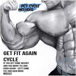 GET FIT AGAIN CYCLE