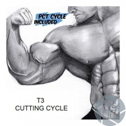 T3 CUTTING CYCLE