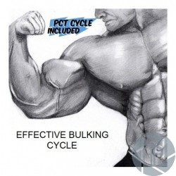 EFFECTIVE BULKING CYCLE