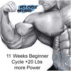 11 WEEKS BEGINNER CYCLE + 20 LBS AND MORE POWER