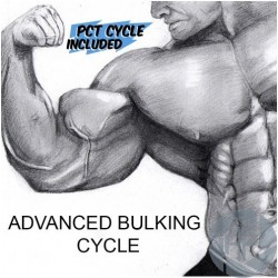 ADVANCED BULKING CYCLE