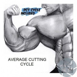 AVERAGE CUTTING CYCLE