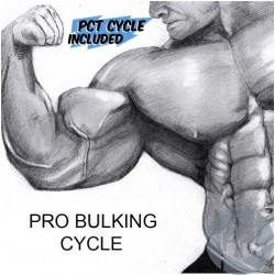 PRO BULKING CYCLE